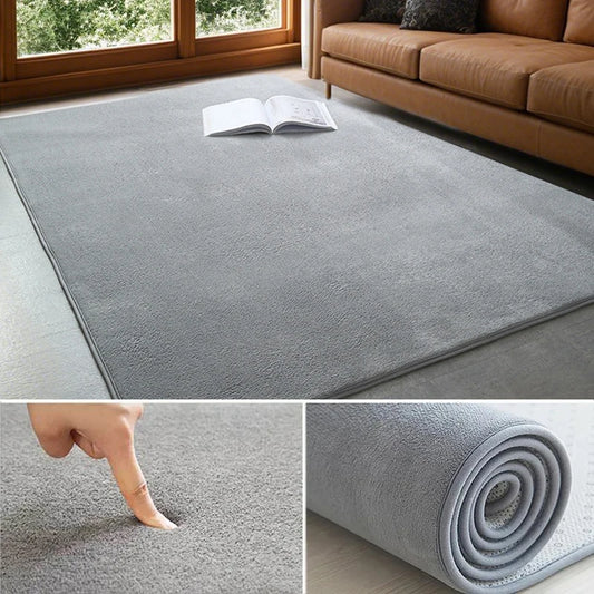 VIKAMA Solid Color Coral Velvet Rug Soft Living Room Bedroom